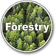 Forestry