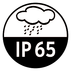 IP 65